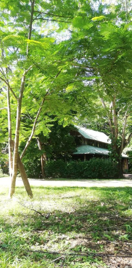 Casa Mymy Ostello Playa Negra Esterno foto