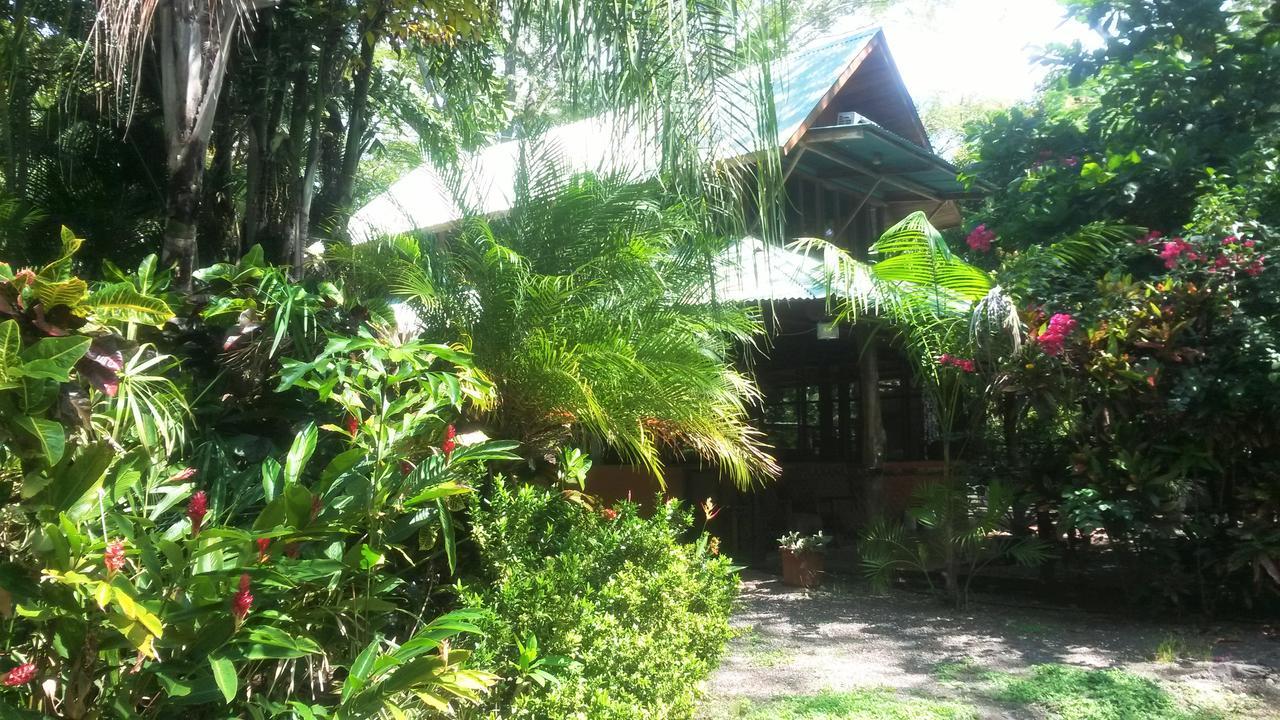 Casa Mymy Ostello Playa Negra Esterno foto