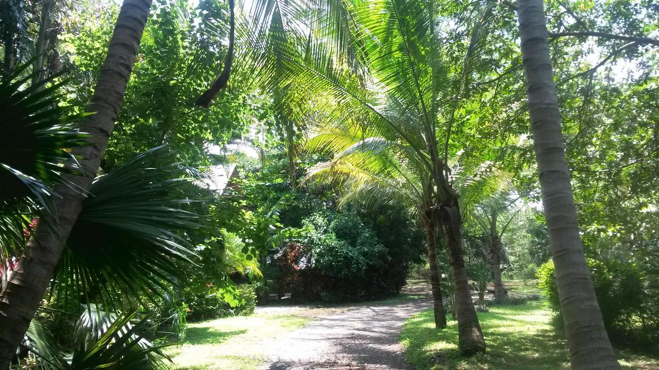 Casa Mymy Ostello Playa Negra Esterno foto